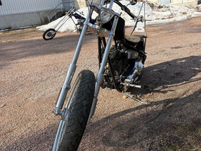 Harley-Davidson Muu malli