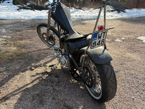 Harley-Davidson Muu malli