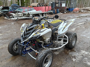 Yamaha Raptor