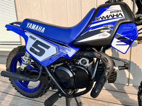 Yamaha PW