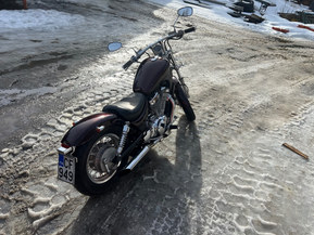 Suzuki Intruder