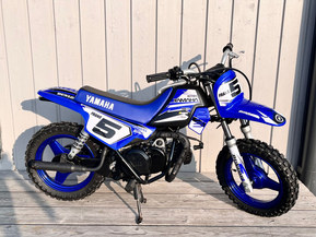 Yamaha PW