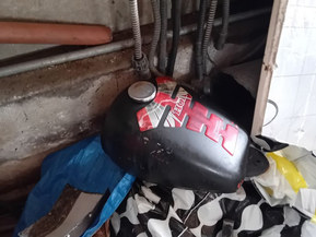 Honda Monkey