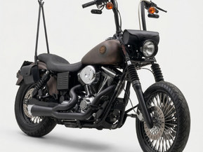 Harley-Davidson Dyna
