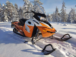 Ski-Doo Renegade