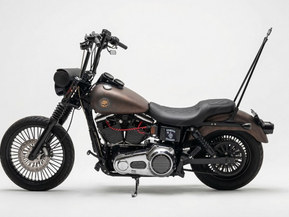 Harley-Davidson Dyna