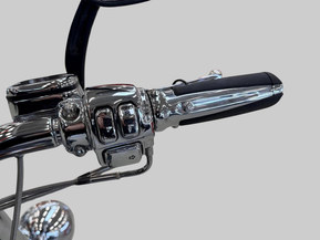 Harley-Davidson Softail