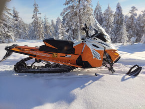 Ski-Doo Renegade