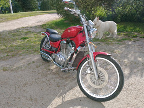 Suzuki Intruder