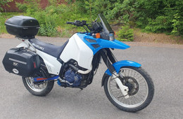 Suzuki DR