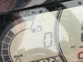 Lynx Brutal RE 500 MM