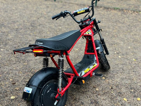 Skyteam MadNut e-Mini Electric