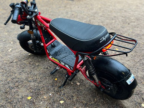 Skyteam MadNut e-Mini Electric