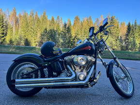 Harley-Davidson Softail