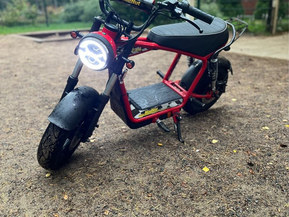 Skyteam MadNut e-Mini Electric