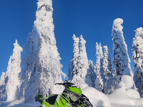 Arctic Cat M-sarja