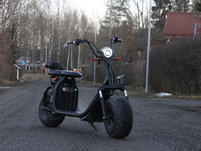 Motokettu Cruiser