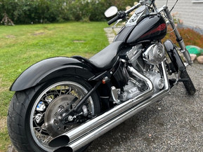 Harley-Davidson Softail