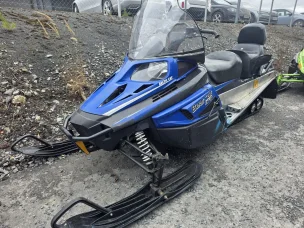 Arctic Cat Bearcat