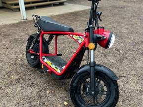 Skyteam MadNut e-Mini Electric