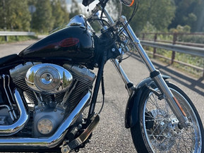 Harley-Davidson Softail