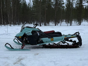 Ski-Doo Freeride