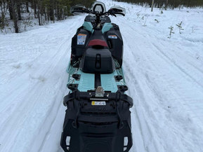 Ski-Doo Freeride