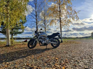 Yamaha FZ6-N