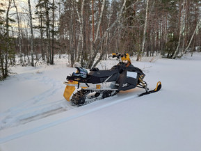 Ski-Doo MX Z