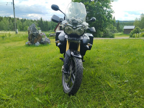 Triumph Tiger