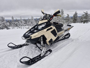 Polaris 800 RMK