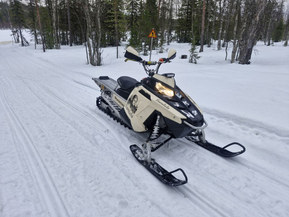 Polaris 800 RMK