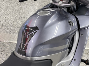 Yamaha FJR