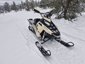 Polaris 800 RMK