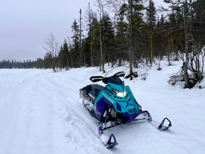 Polaris SwitchBack