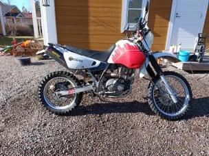 Suzuki DR