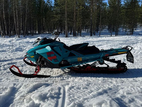 Ski-Doo Freeride