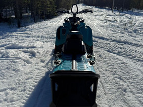 Ski-Doo Freeride
