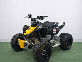 Can-Am DS