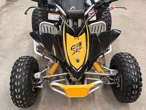 Can-Am DS