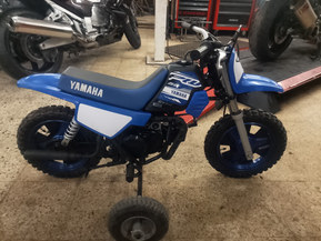 Yamaha PW