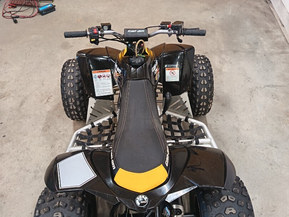Can-Am DS