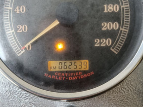 Harley-Davidson Softail