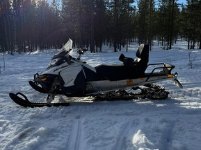 Ski-Doo Expedition