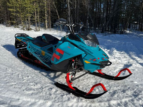 Ski-Doo Freeride