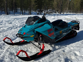 Ski-Doo Freeride