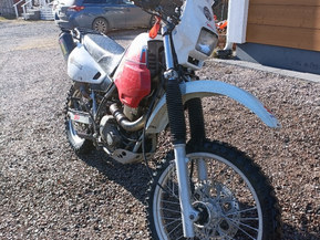 Suzuki DR