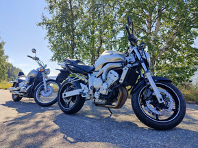 Yamaha FZ6-N