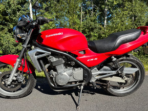 Kawasaki ER-5