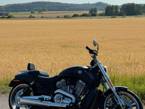 Harley-Davidson VRSC